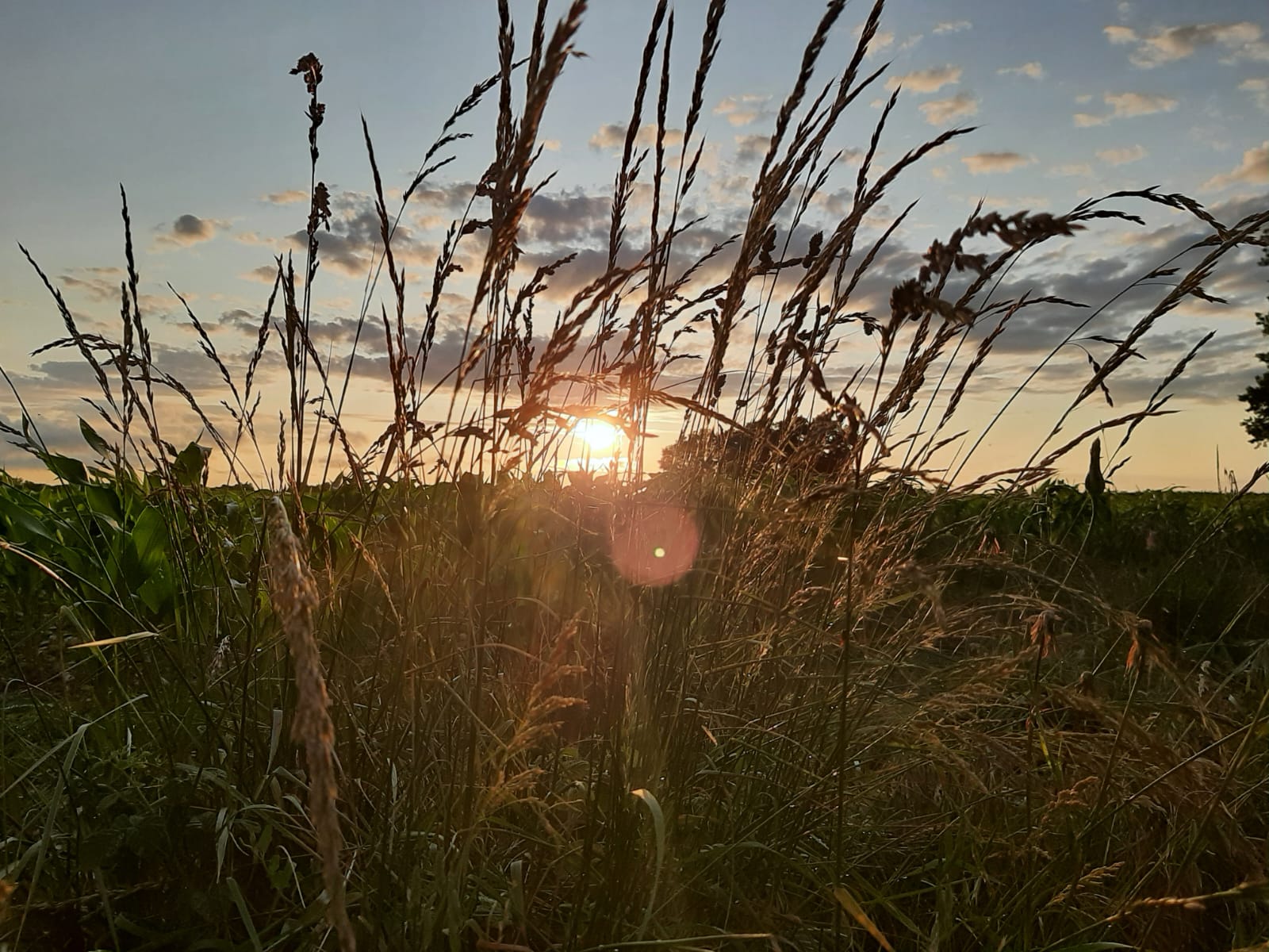 Zonsondergang