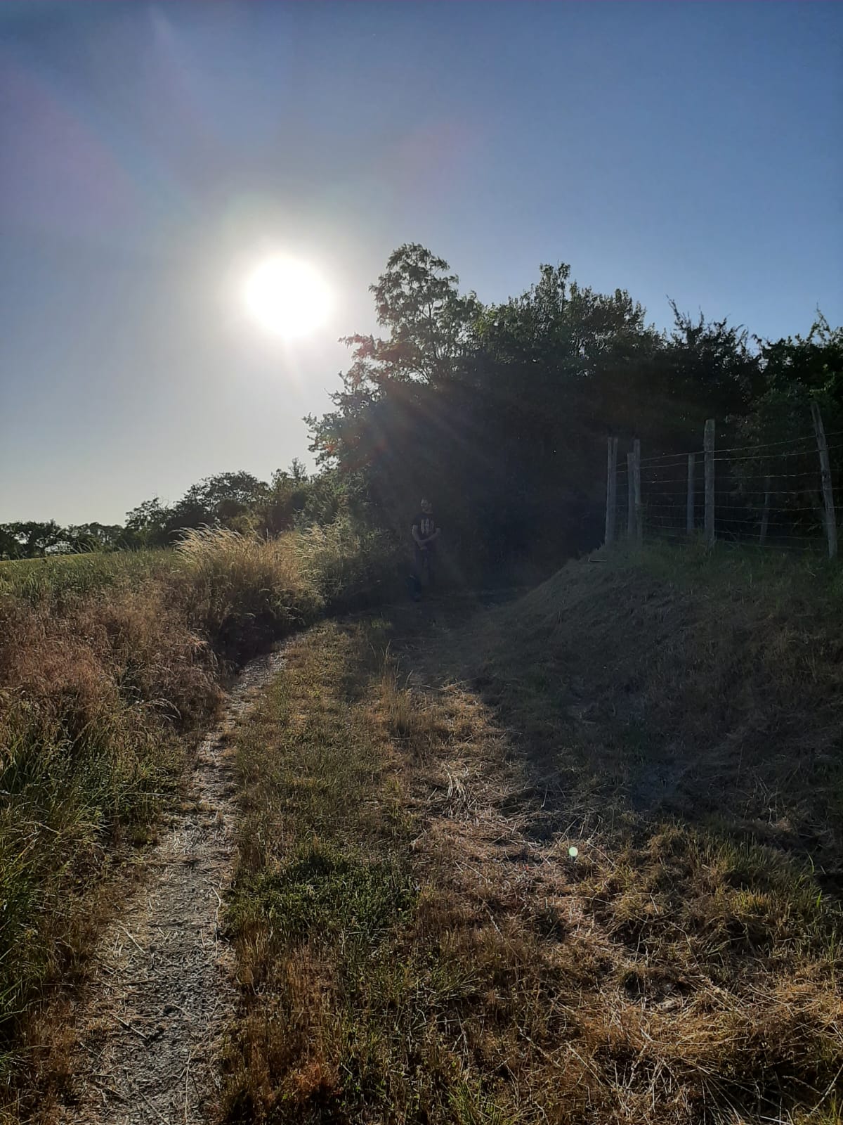 Avondwandeling