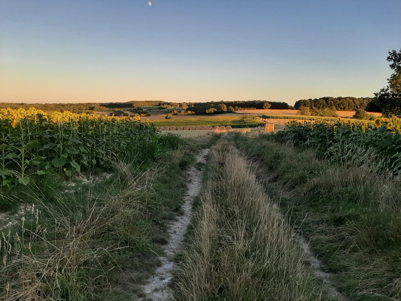Landweg
